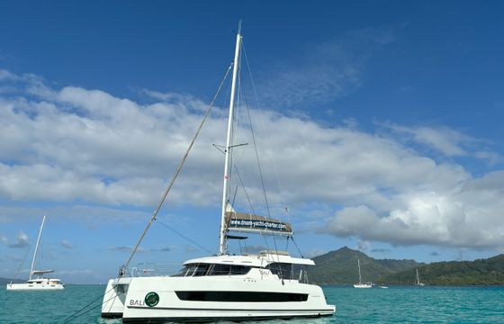 Bali Catspace Voile