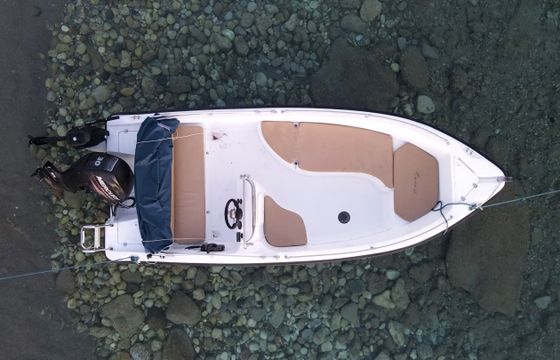 Nireus 490