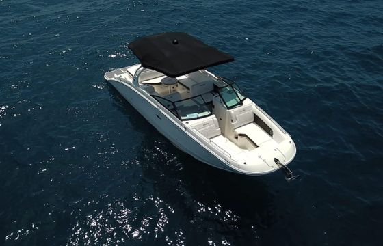 Sea Ray SDX 290