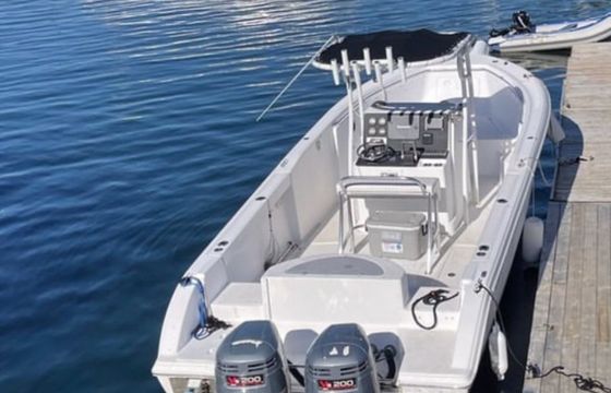 SEAFOX 287 cc