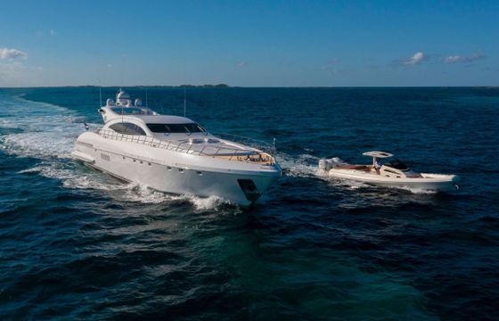 Mangusta TOTAL