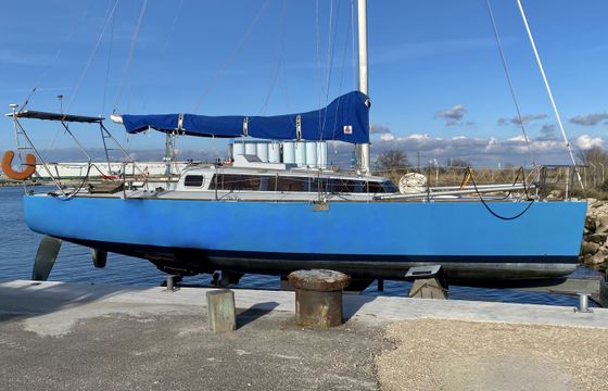 Scotto Profil 34
