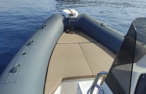 Blue rib Panama19