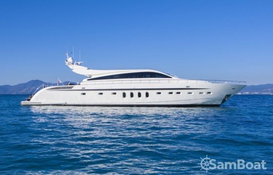 Arno Leopard Leopard 31