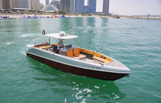 Sea Ray X20