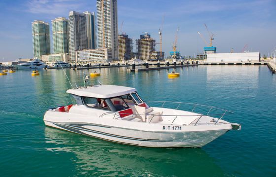 Sea Ray X13