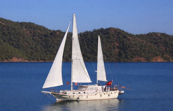 Özel Yapım 2013