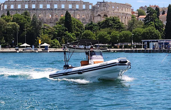 Tiger Proline 620