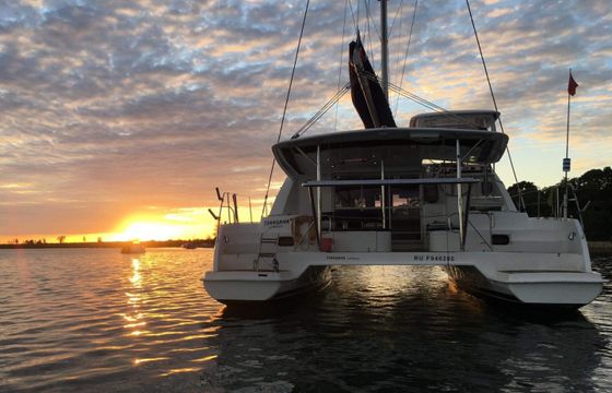 Leopard 44