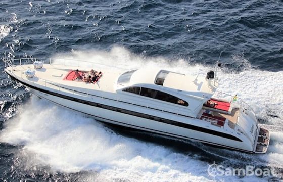 Arno Leopard Leopard 23