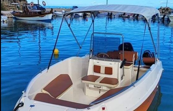 Ranieri 30hp