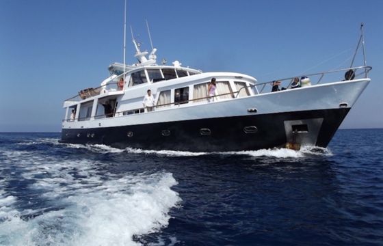 Peeter Sgeepsbouw Navetta