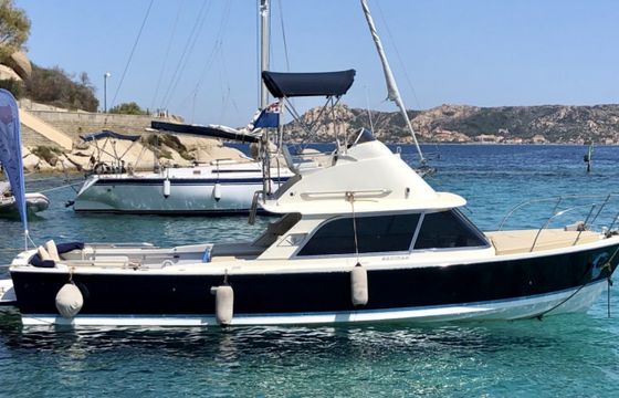 Bertram 31