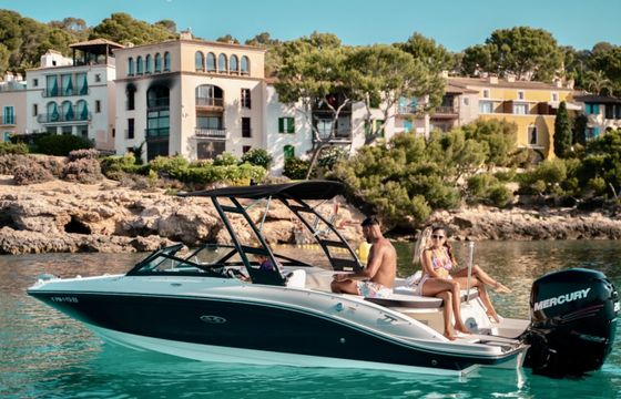 Sea Ray SPX 210 OB