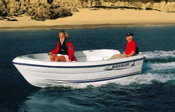 Quicksilver 410 Fish