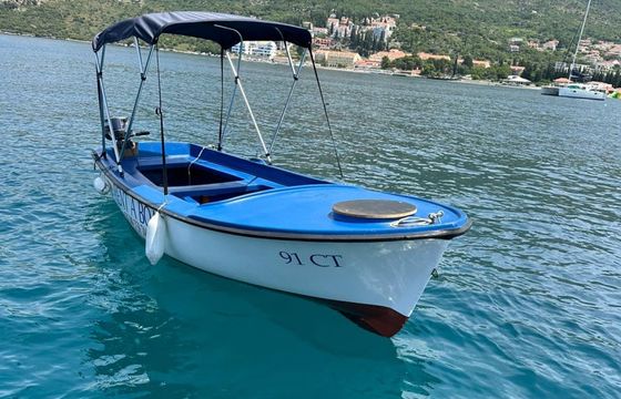 Elan Pasara 490