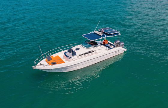 Silvercraft 33'