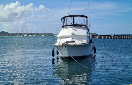 Bertram 33 sport fisher