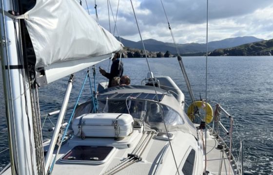 Delphia 33