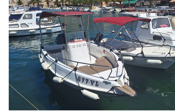 Fisherman Bluemax 550