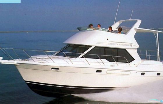 Bayliner Avanti 3488 Command Bridge