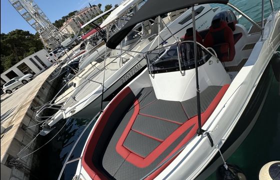 Barracuda 545 open