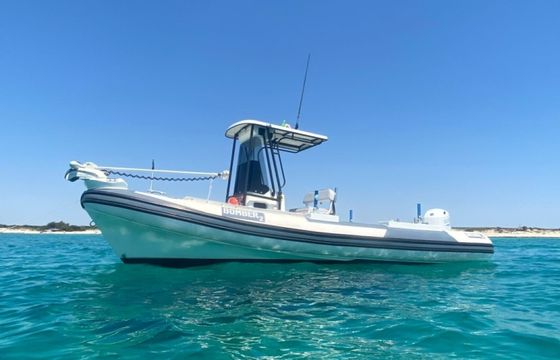 Perondi Beluga 22