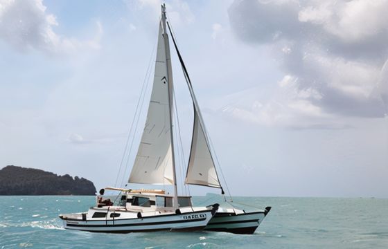 Wharram Tiki 30
