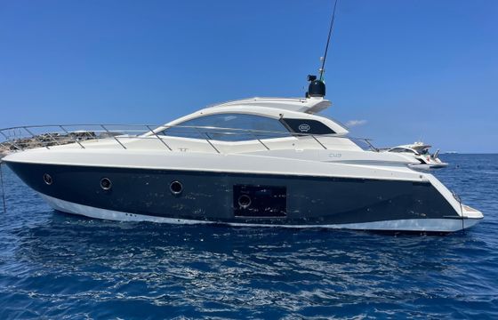 Leopard 45