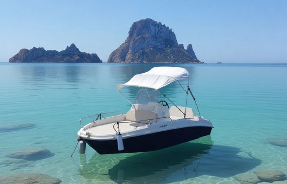Remus 450 open