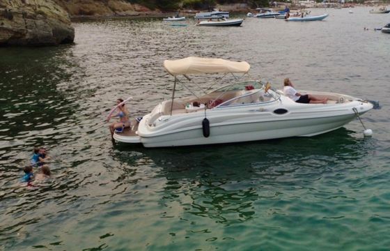 Sea Ray 240 Sundeck