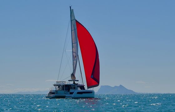 Leopard 42