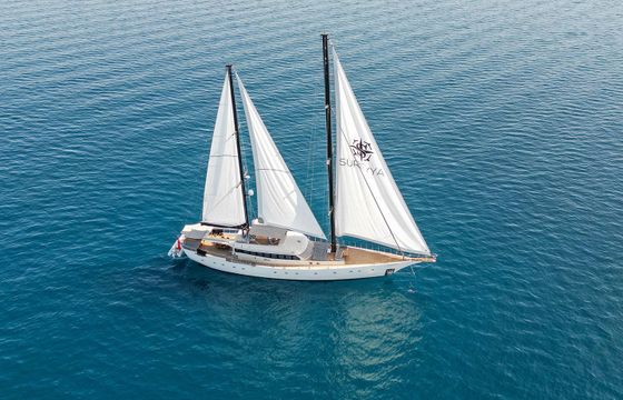 Motor sailer