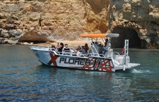 Moggaro M950TENDER