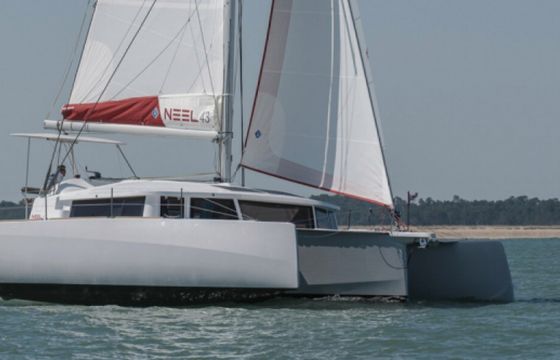 Neel 43