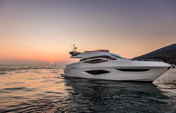 Numarine 65