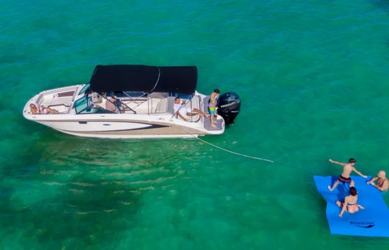 Sea Ray SDX 270