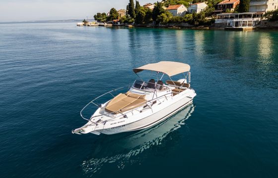 B2 Marine Cap Ferret