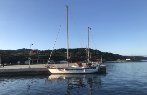 Wauquiez Amphitrite 43
