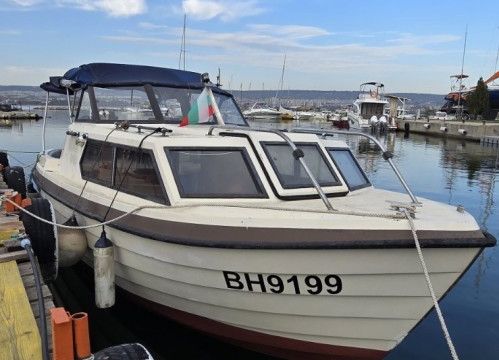 Starfisher ST34