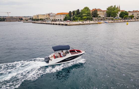 Barracuda 545