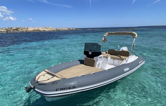 Salpa Soleil 20
