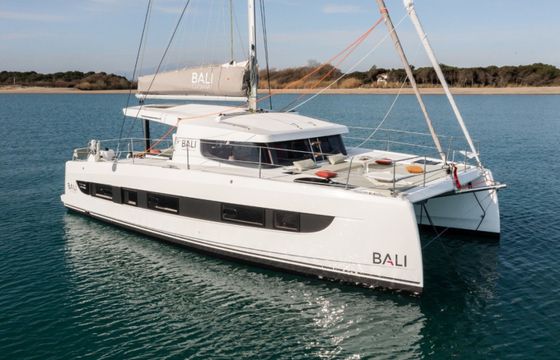 Bali CATSMART