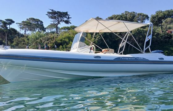 Capelli 770 Luxe
