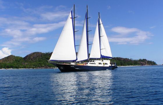 Custom Made Schooner