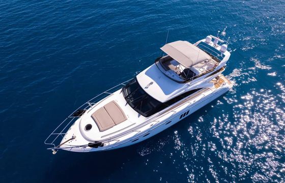 Princess 54