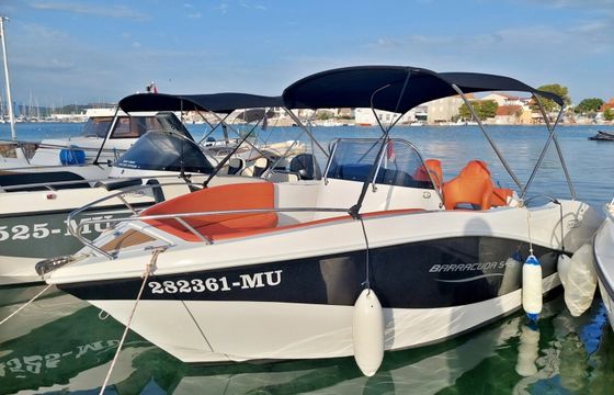 Barracuda 545