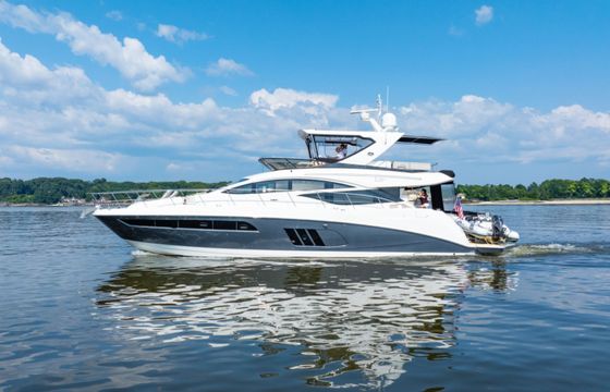 Sea Ray Sea Amber