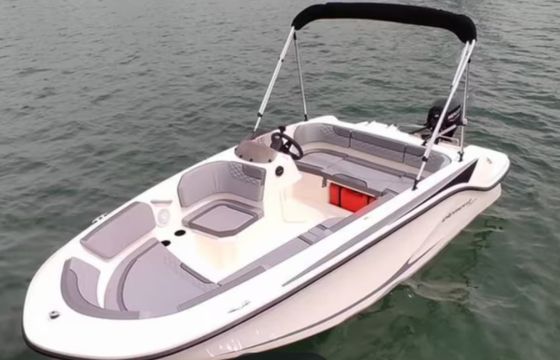 Bayliner Element