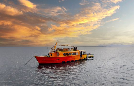 Constructeur indépendant Bateau en Bois